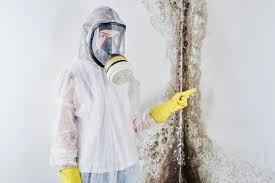 Reliable Notasulga, AL Mold Removal Services Solutions